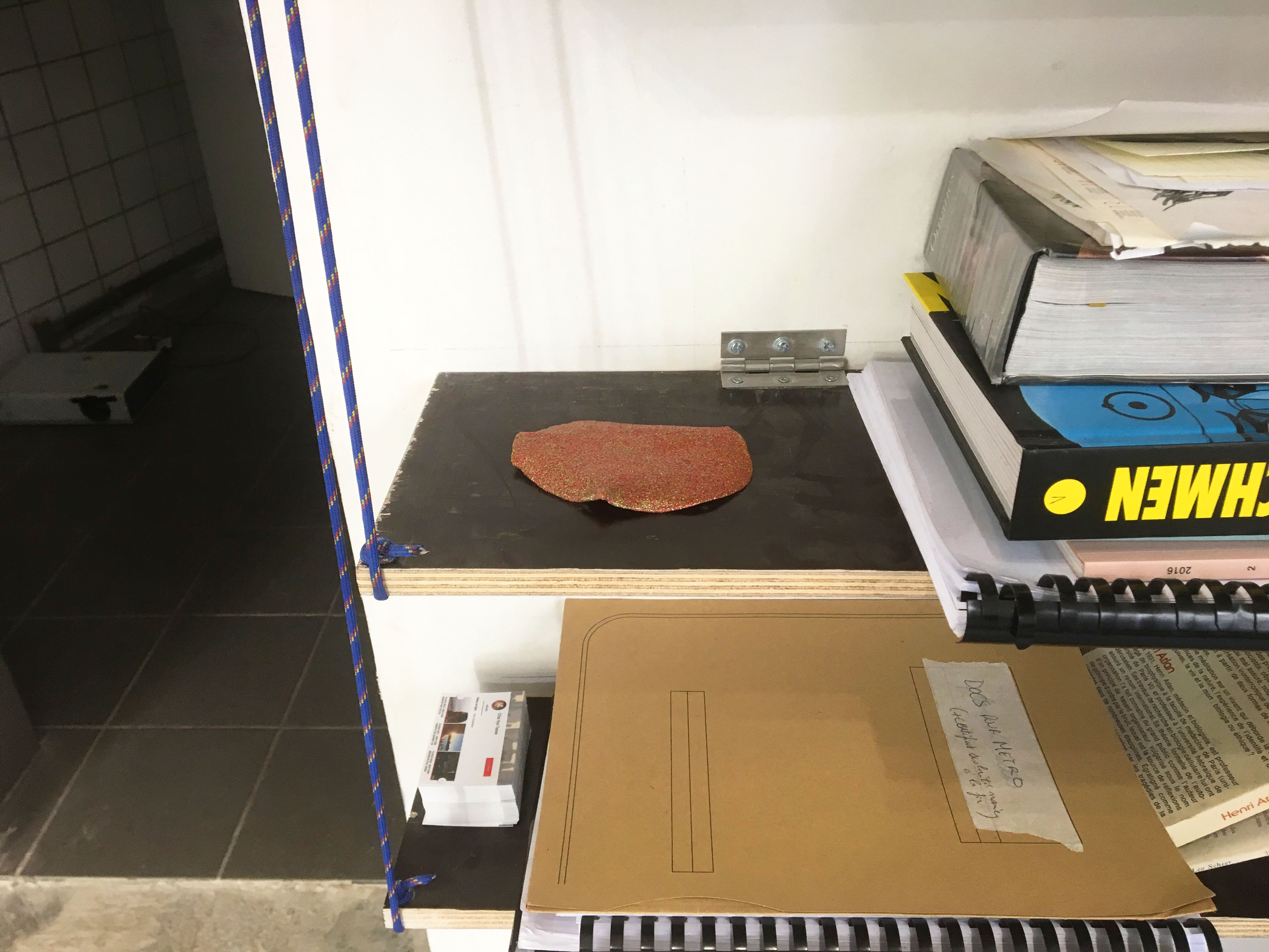 Un slime séché à paillette est psoé sur une étagère. On voit tous les livres posés autour.